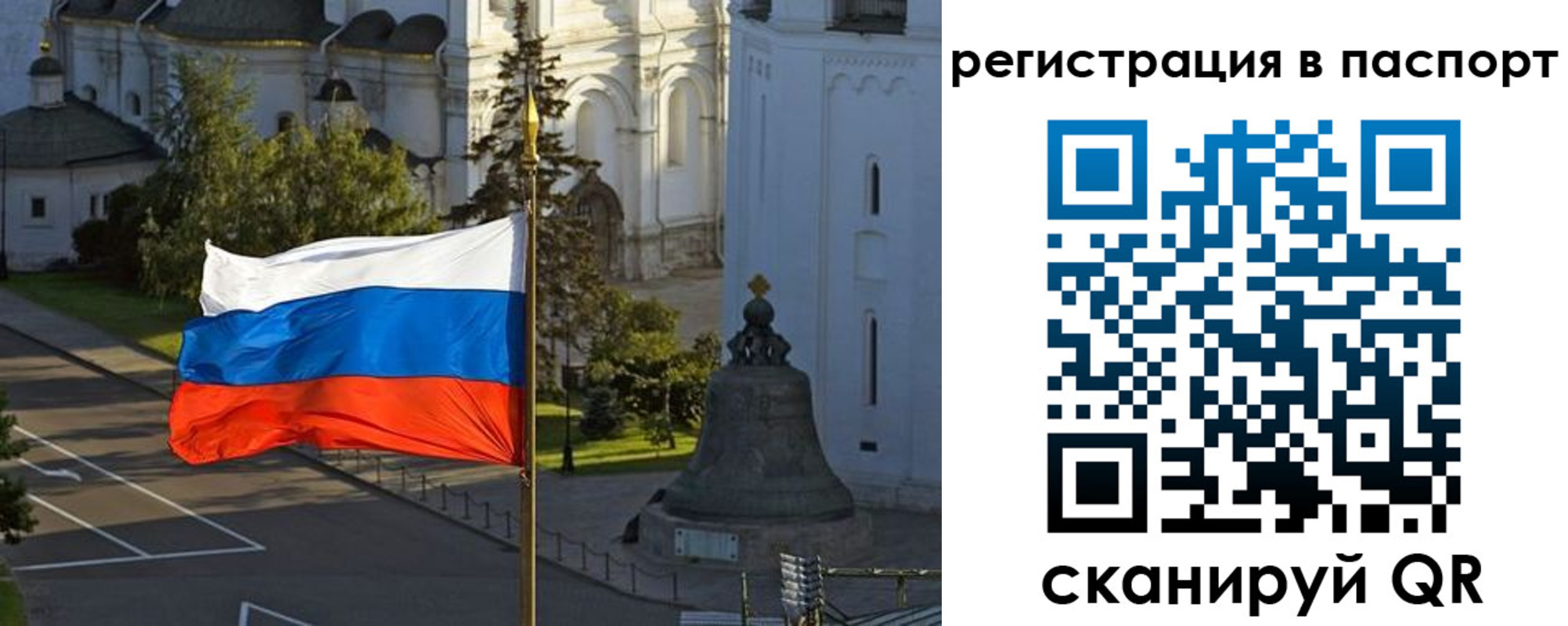 где прописаться в Купино